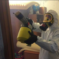 Уничтожение клопов в квартире. Озёрная